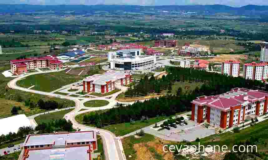 Kastamonu Üniversitesi'nden Kenelerden Bulaşan Hastalıklara Karşı Önemli Araştırma