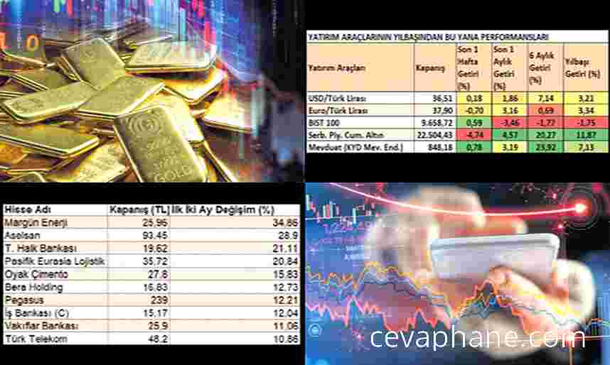 2025'in İlk İki Ayında Yatırımcılar Güvenli Limanlara Sığındı: Altın ve Mevduat Öne Çıktı