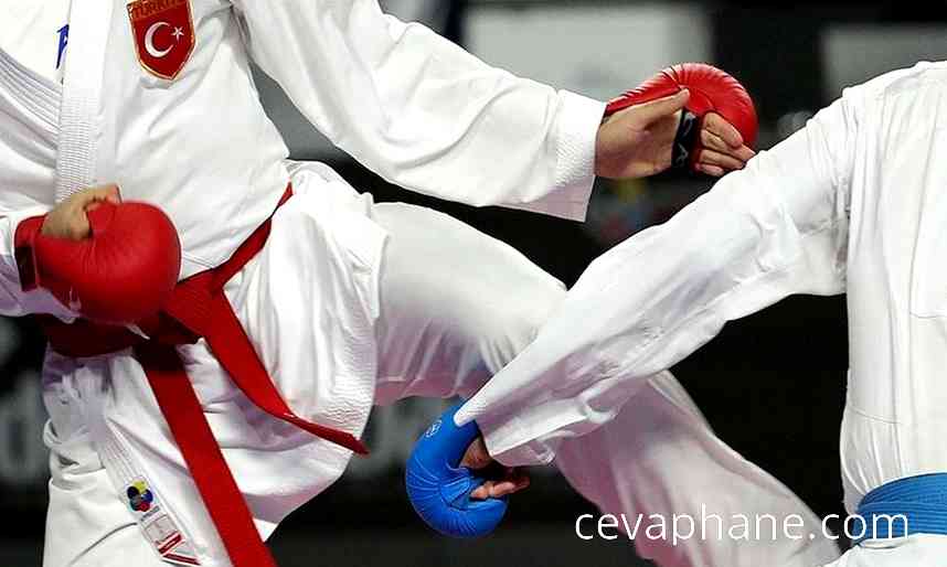 Balkan Karate Şampiyonası'nda Milli Sporcularımızdan 2 Madalya