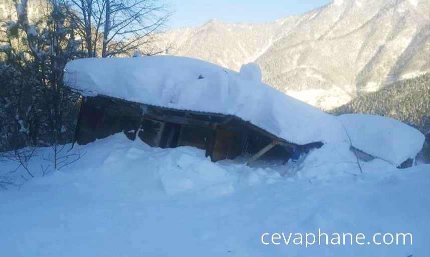 Artvin'de Çığ Felaketi: 2 Ev ve İş Makinesi Kar Altında