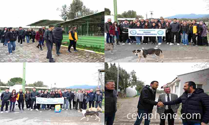 Havran MYO Öğrencileri Burhaniye Hayvan Bakımevini Ziyaret Etti, Mama Yardımı Yaptı