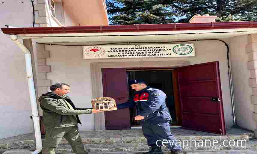 Afyonkarahisar'da Kaçak Avlanmaya Geçit Yok: Jandarma'dan Operasyon