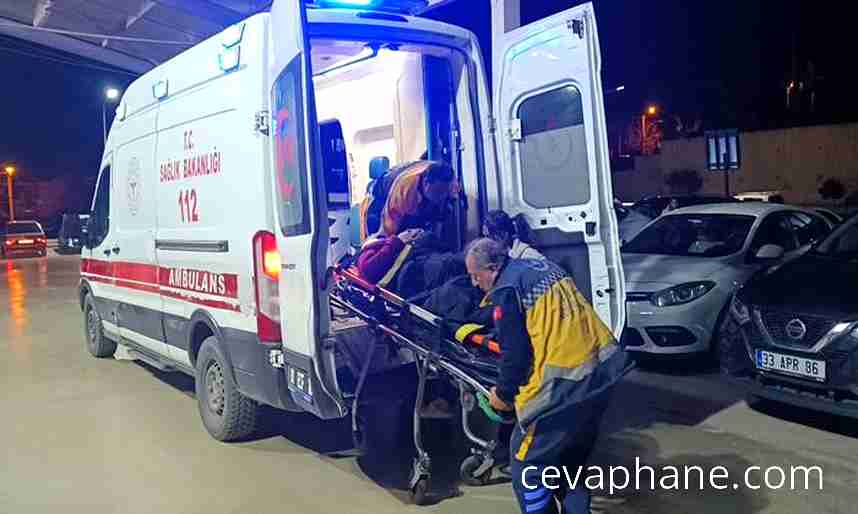 Adana'da Refüje Çarpan Otomobil: 2 Yaralı