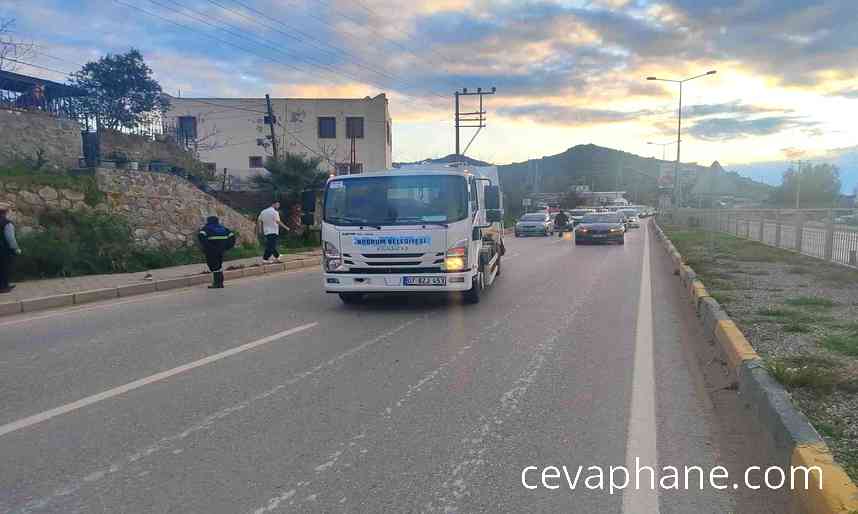 Bodrum'da Köpek Havlaması Facia Getirdi: Adam Kamyonun Altında Kaldı