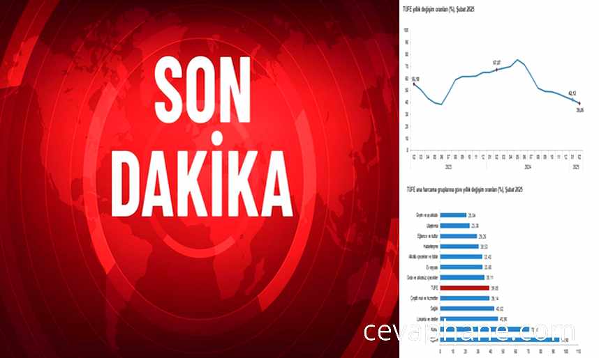 Şubat Ayı Enflasyonu Açıklandı: TÜFE Yüzde 39,05 Olarak Gerçekleşti