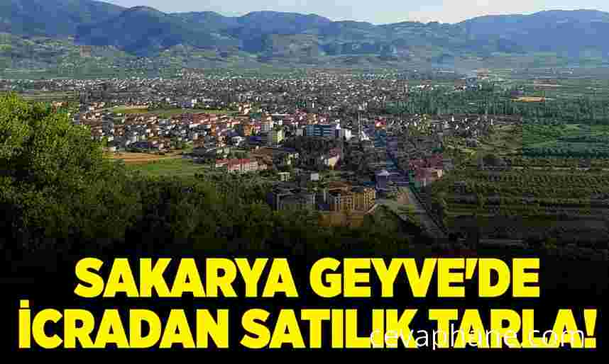 Sakarya Geyve'de İcradan Satılık Tarla: Fırsat mı, Yatırım mı?