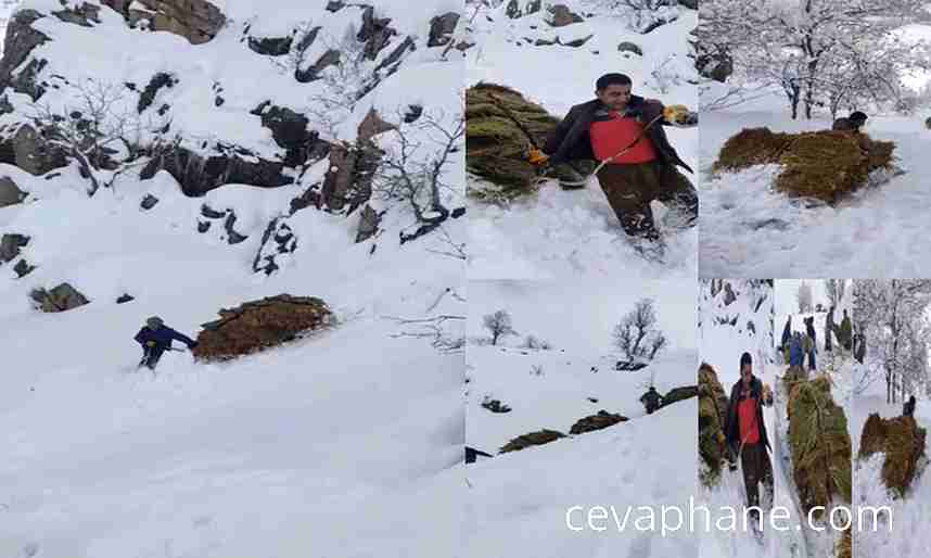 Hakkari'de Zorlu Kış Mesaisi: Çiftçiler 3 Bin Rakımdan Otları Kızaklarla İndiriyor